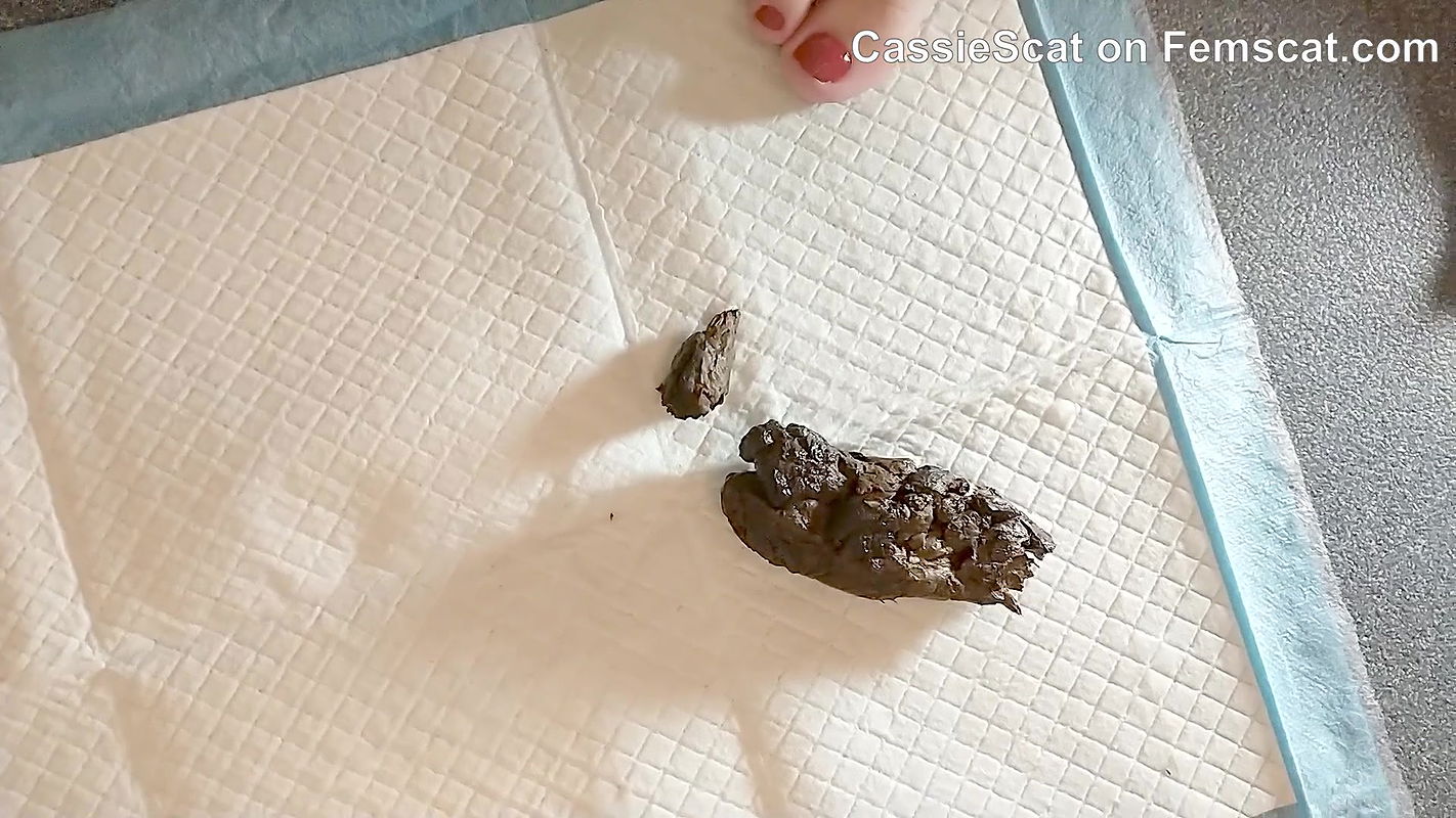 CassieScat Pooping Then Masturbating 2 in the Pink and 1 in the Stink