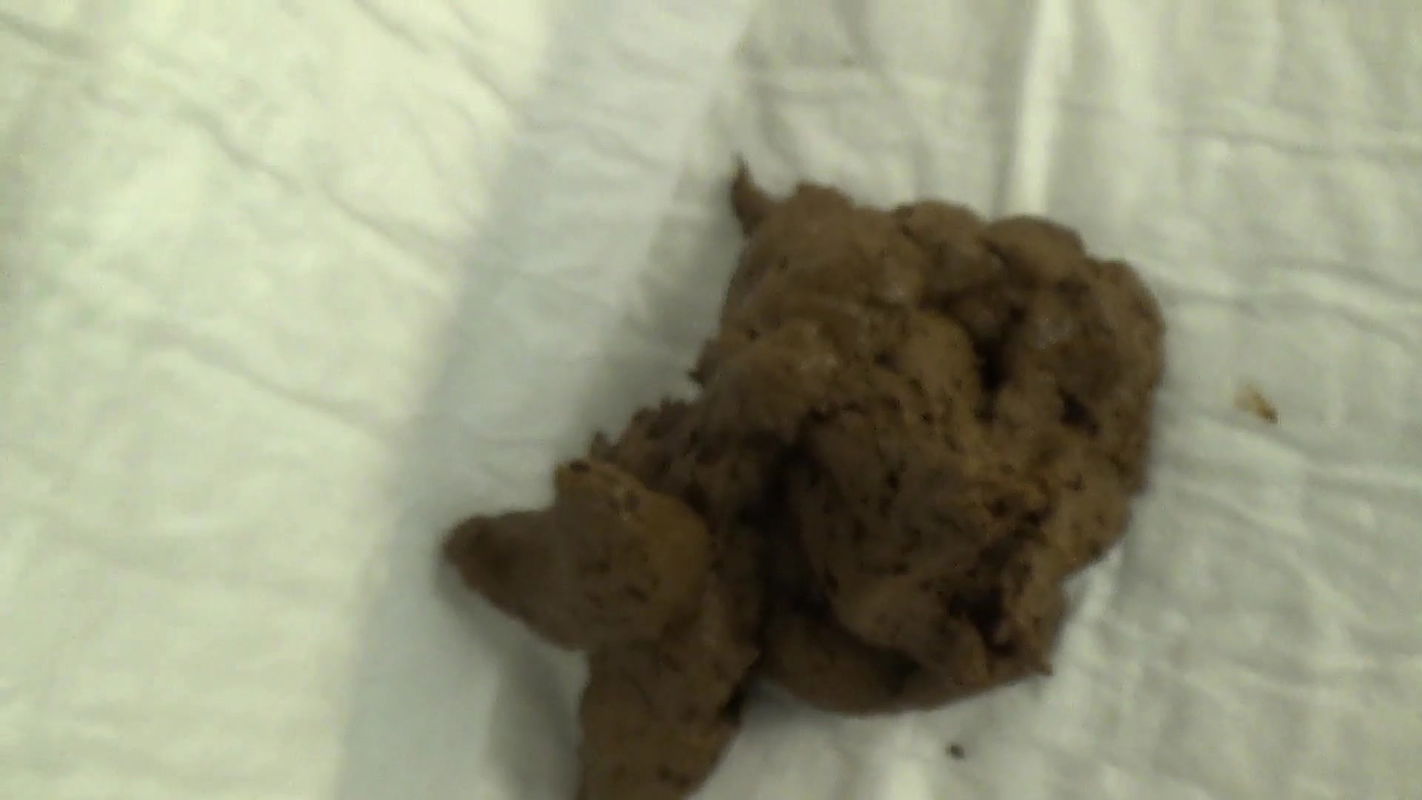 DirtyBetty SEE my CRAP kittys-3