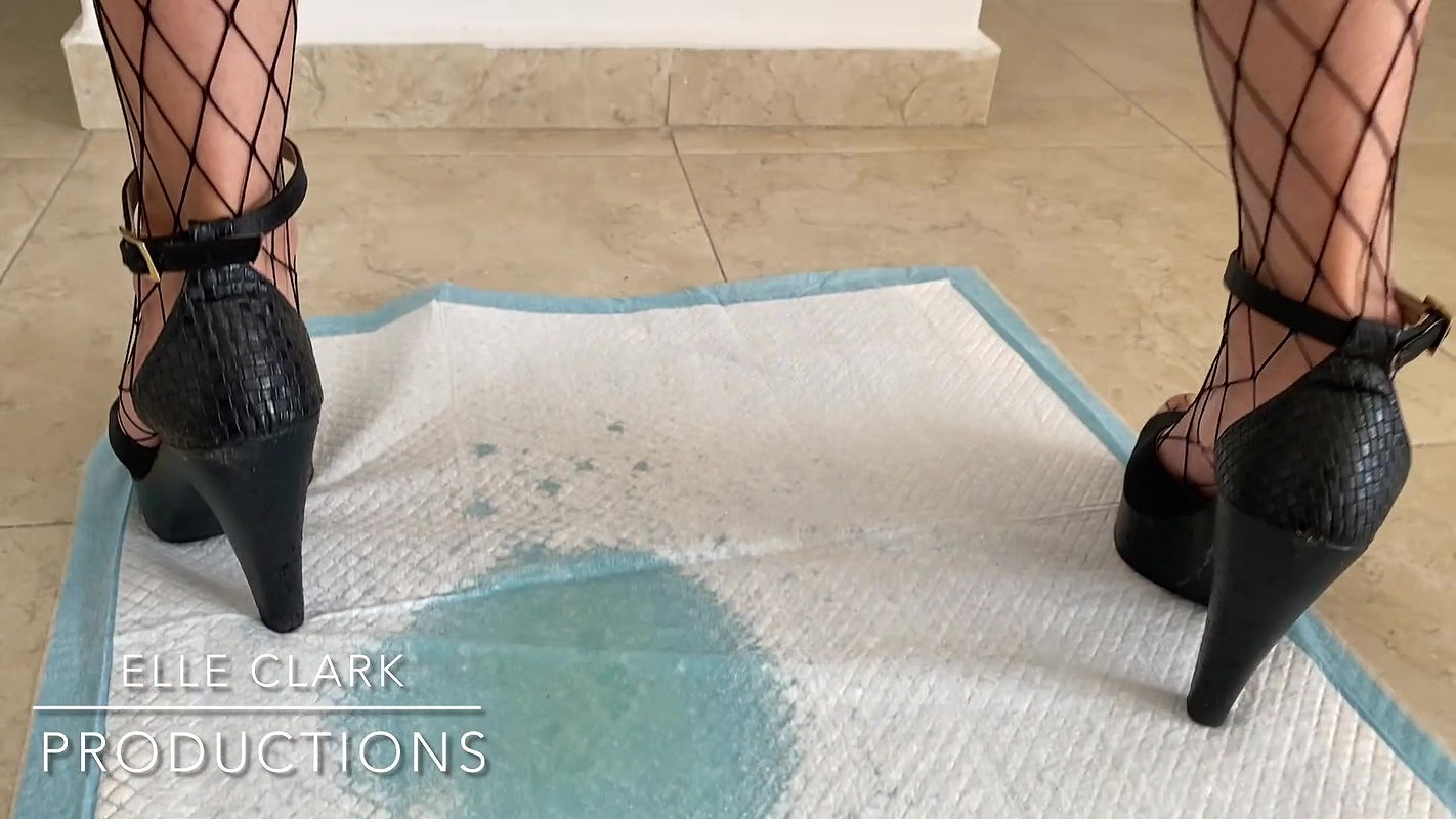 ElleClarkScatQueen shitting in mesh stockings