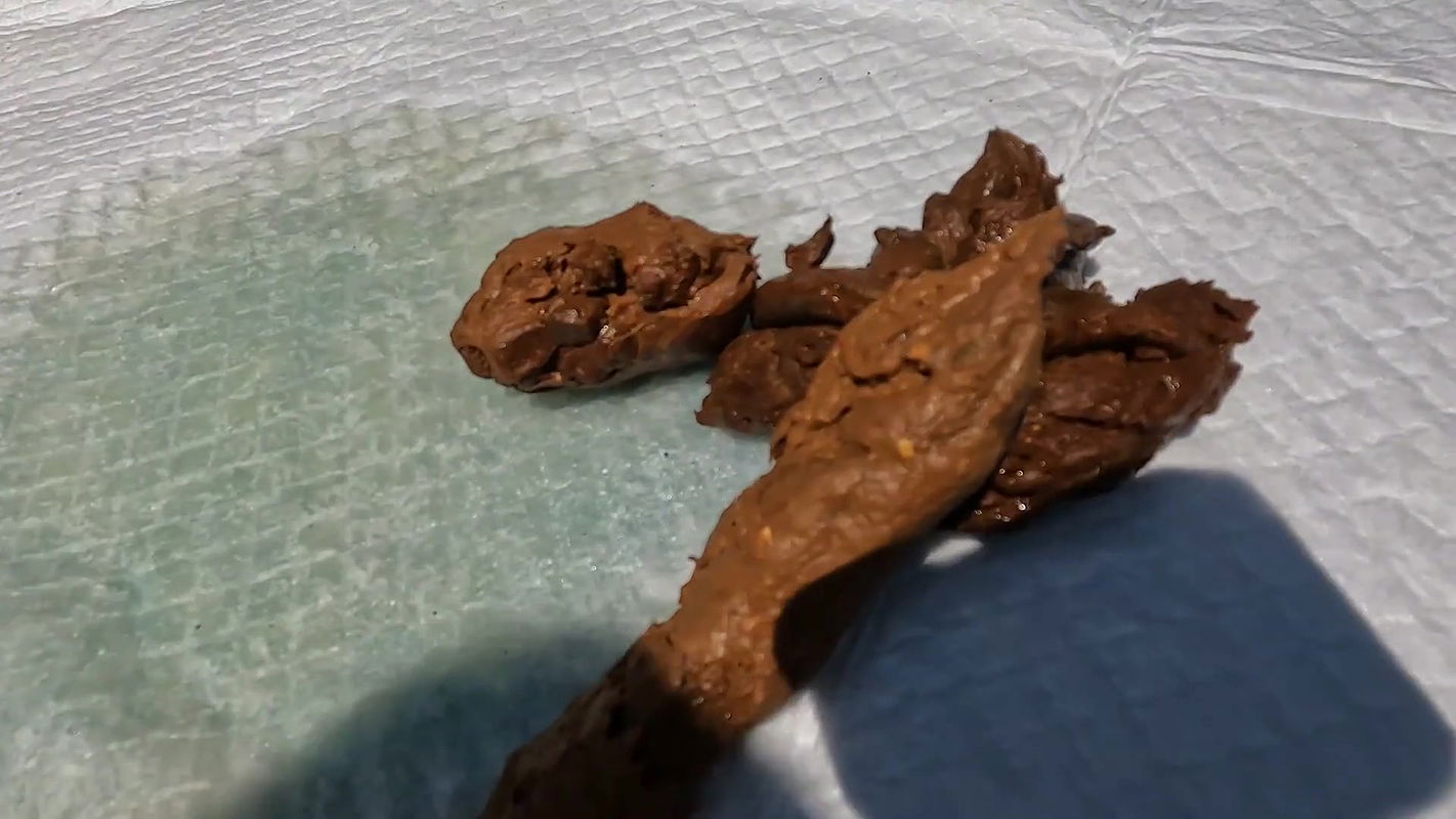 gassy C n G make a poop pile on the balcony