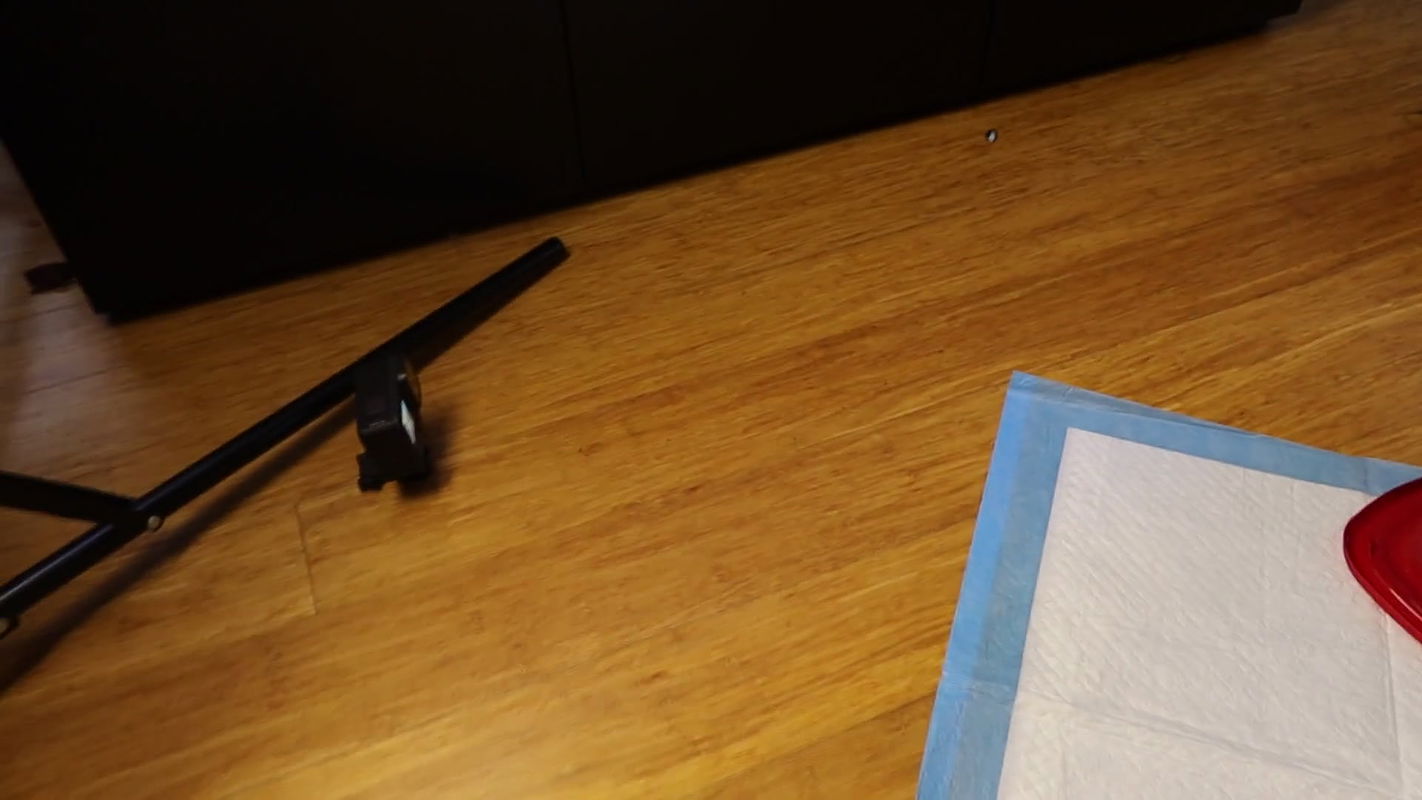 gassy Gassy big as dump for eater