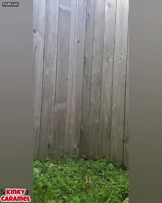 GoddessKinkyCaramel Revenge shitting in my neighbors yard
