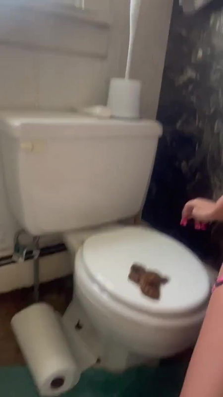 KinkyScatGirl Pooping on toilet seat