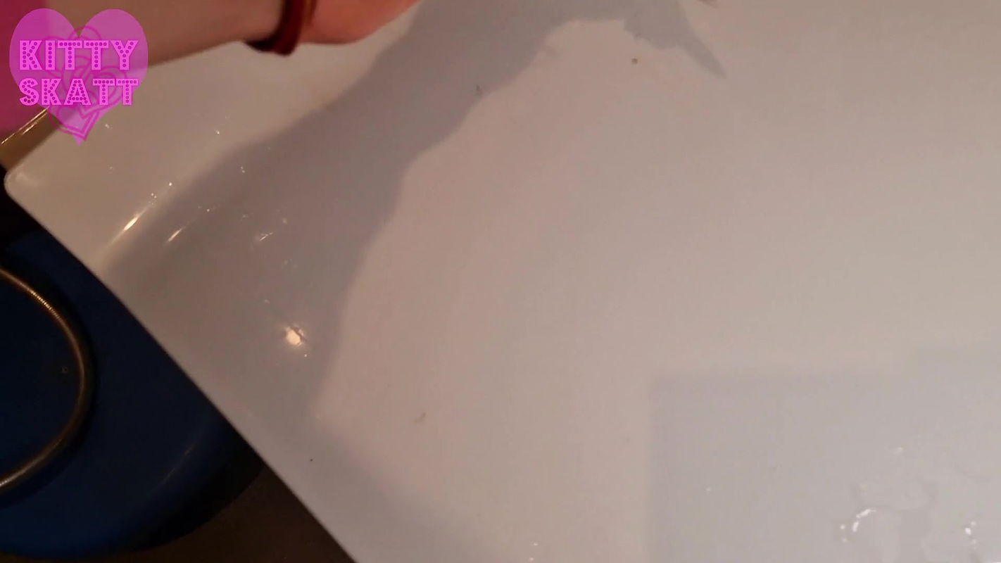 Kitty Skatt Desperate Toilet Lid Release