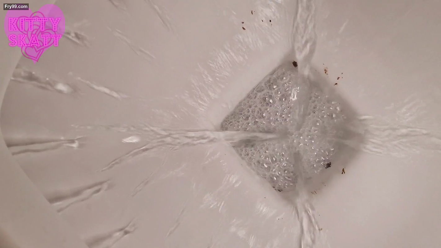 Kitty Skatt Desperate Toilet Lid Release