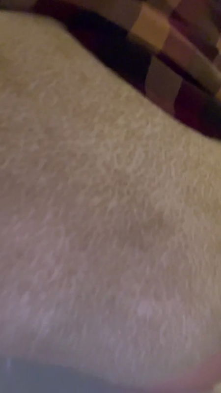 letsplay329 Poop dropped right in to my light-colored briefs.shit-smeared ass and all