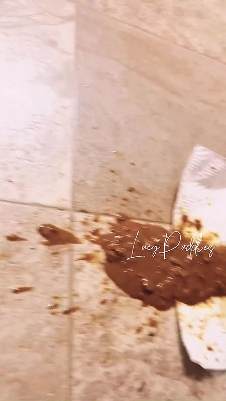 LucyPuddles Gassy Diarrhea 2