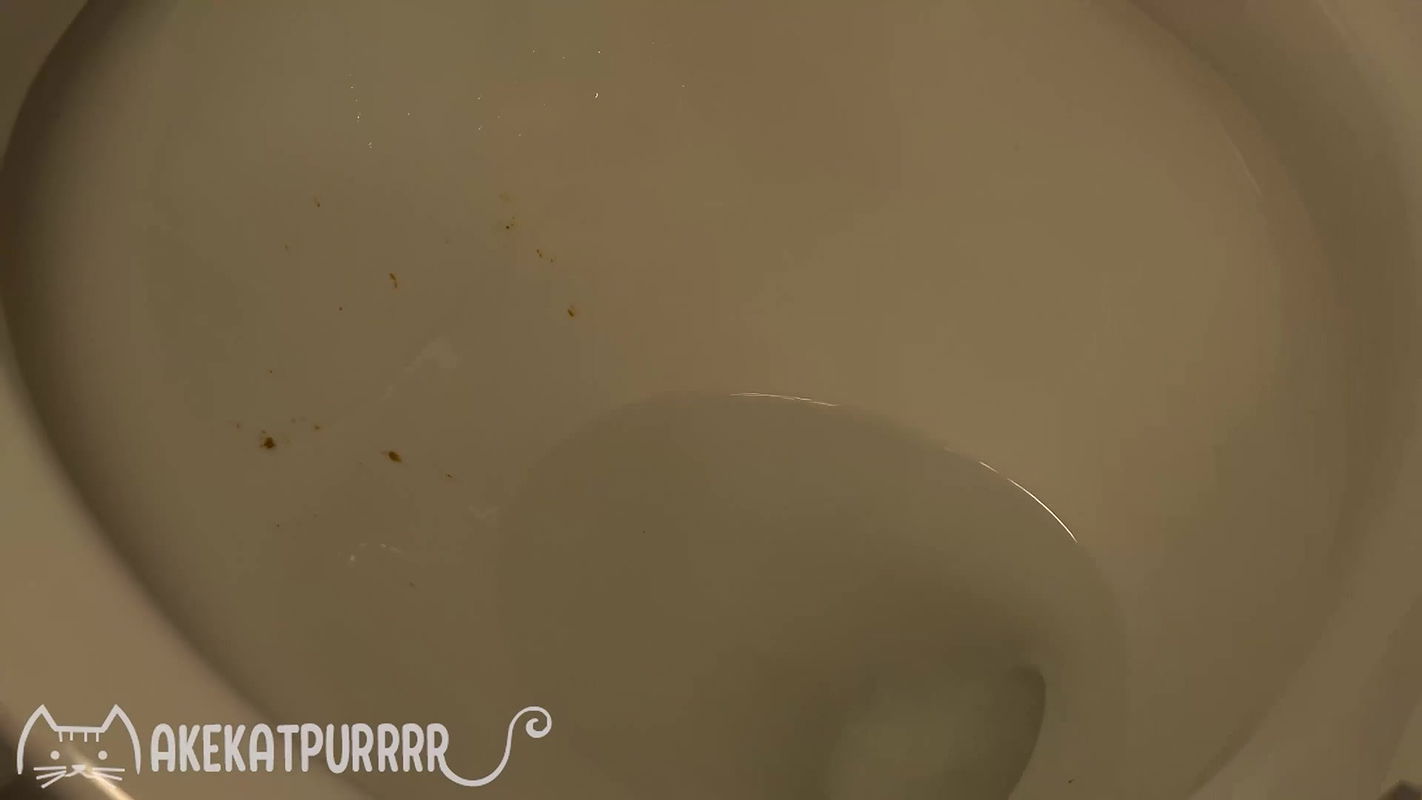 MakeKatPurrrr Shitting For You Vol. 3