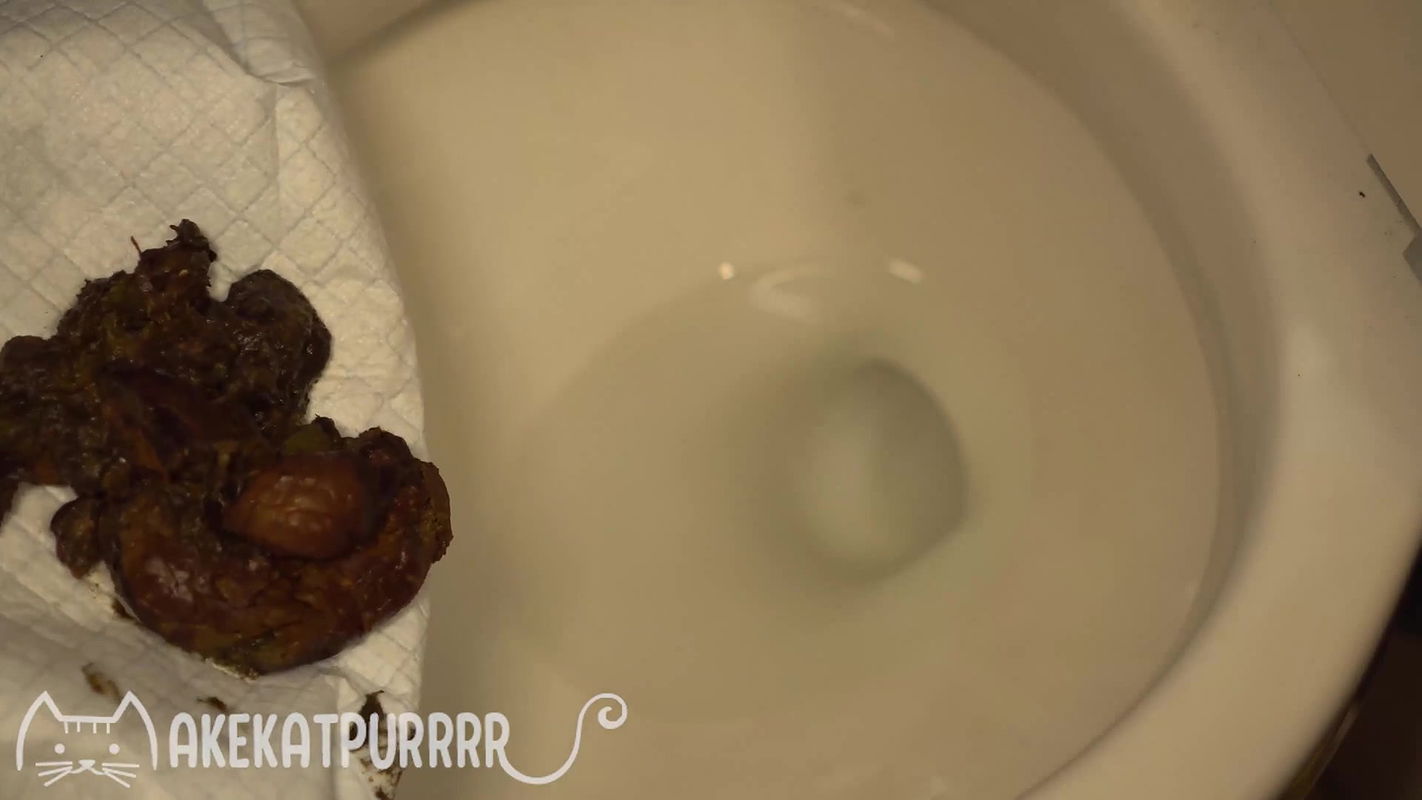 MakeKatPurrrr Shitting For You Vol. 20