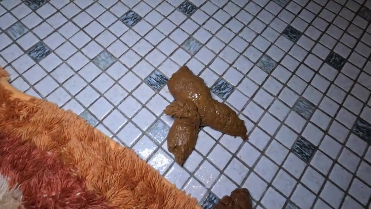 MiaRoxxx Season 2022 HUGE at midnight