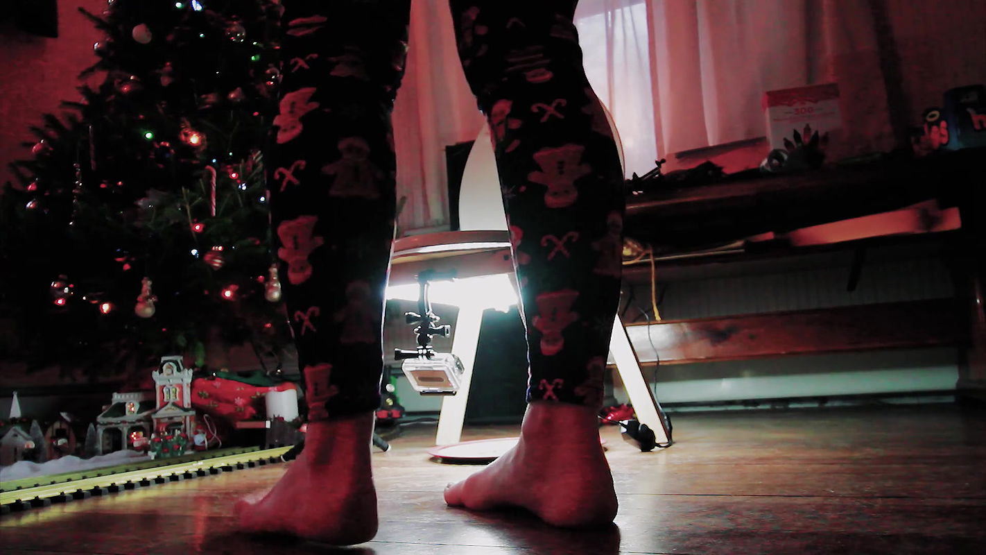 PorcelainCouple Cookies for Santa