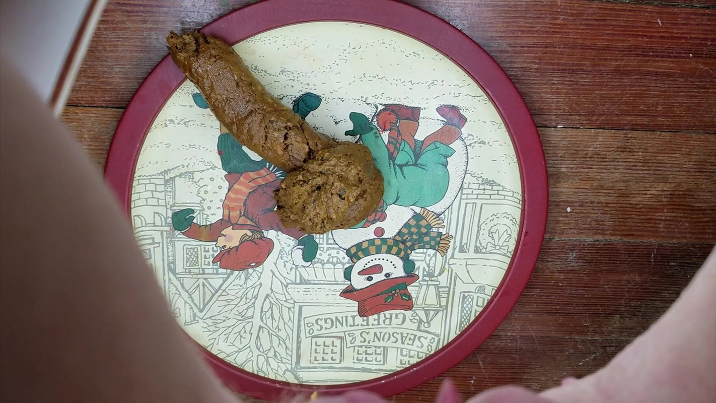 PorcelainCouple Cookies for Santa