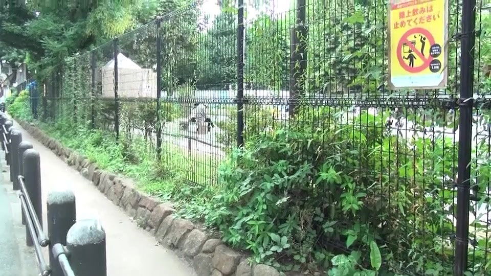 Portable Toilet Slave is Locked in a Car and Must Serve + POV