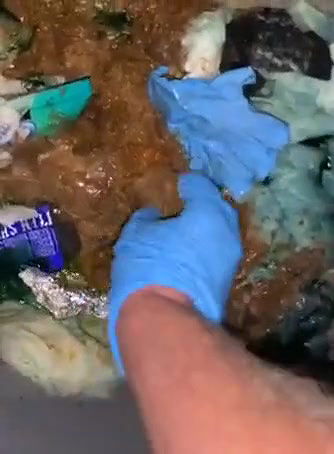 Portapottyqueen Gagging while tasting strangers shit in portapotty