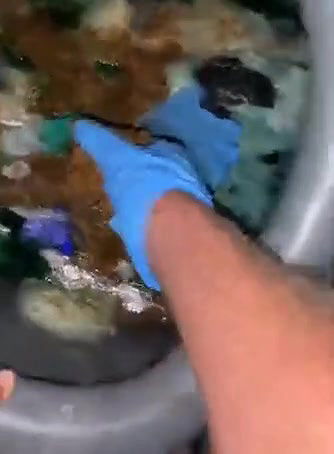 Portapottyqueen Gagging while tasting strangers shit in portapotty