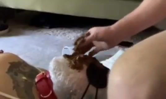 Portapottyqueen Masters little toilet choked on his massive shit