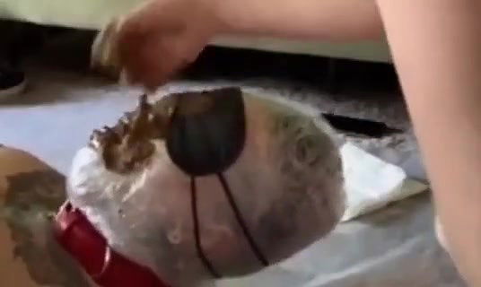 Portapottyqueen Masters little toilet choked on his massive shit