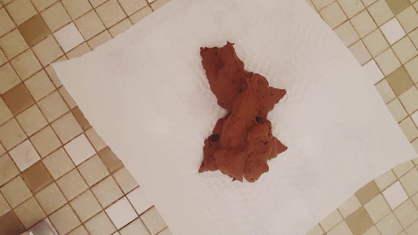 PottyQueen Big soft poo for my slaves