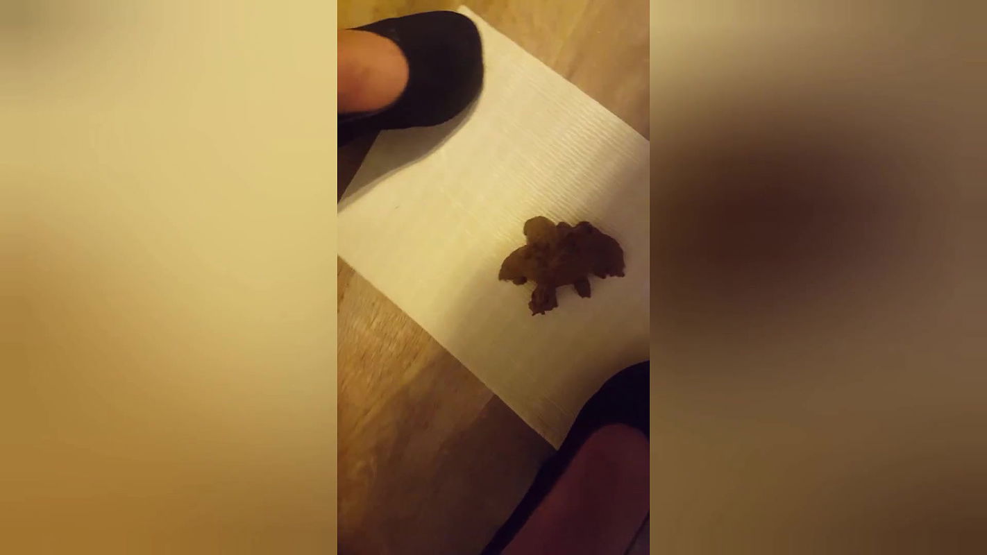 PottyQueen Poo a soft meal