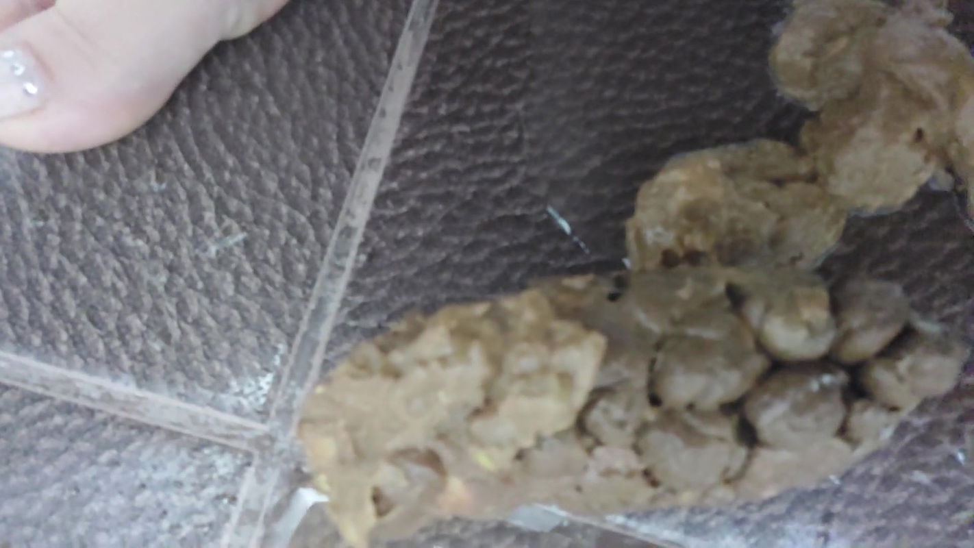 Sarathonson Detailed poop