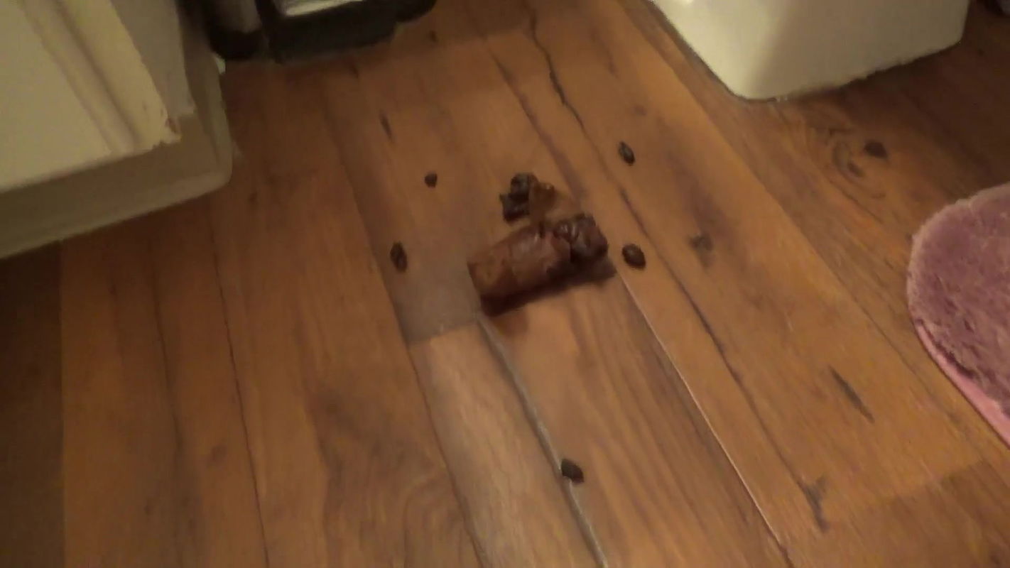 SexyScatForYou Post-Thankgiving Dump