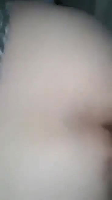 Myd pk video collection 152025107