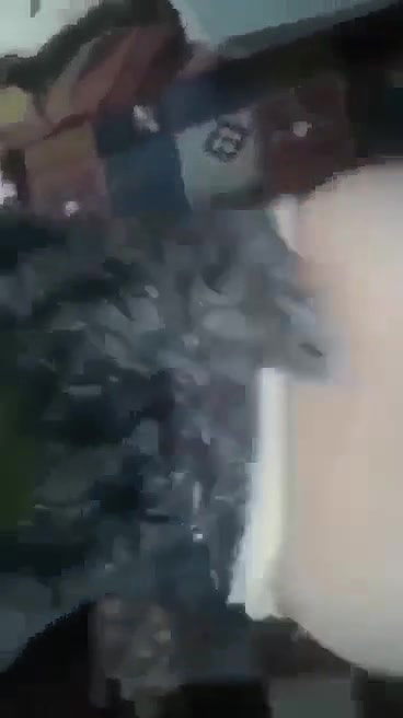 Myd pk video collection 152025107