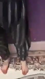 Myd pk video collection 15202512