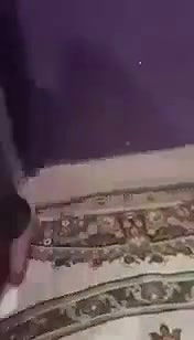 Myd pk video collection 15202512