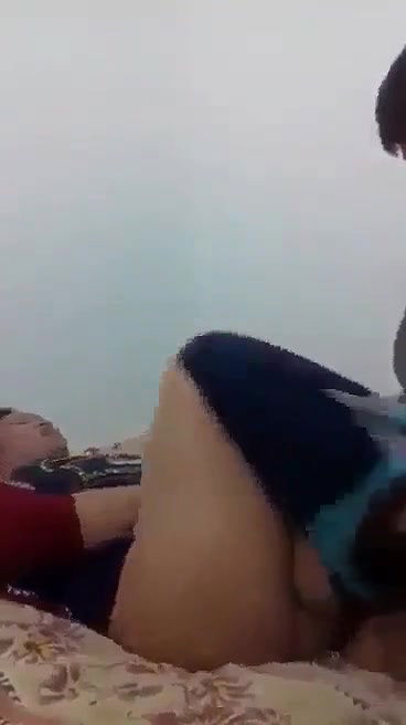 Myd pk video collection 15202528