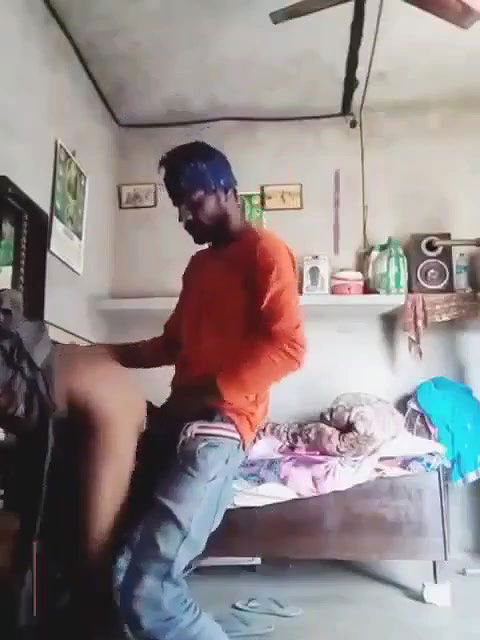 Myd pk video collection 15202533