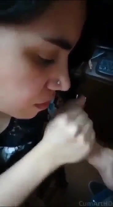 Myd pk video collection 15202538