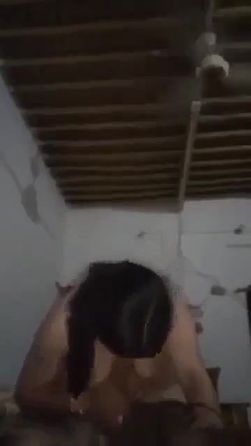 Myd pk video collection 15202546