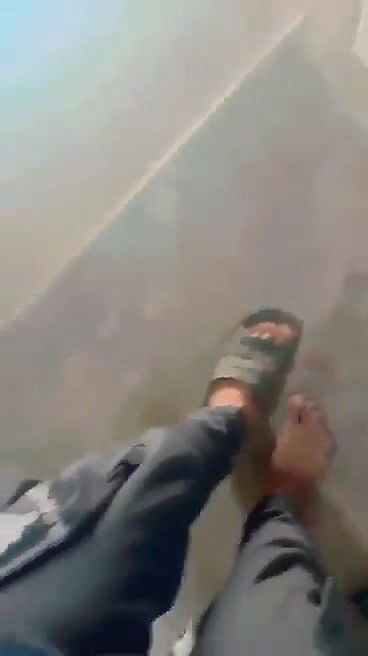 Myd pk video collection 15202553