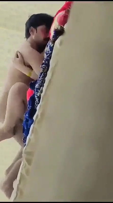 Myd pk video collection 15202556