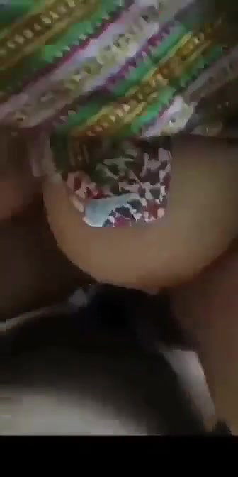 Myd pk video collection 15202584