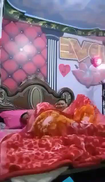 Myd pk video collection 15202589