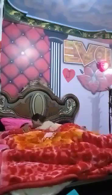 Myd pk video collection 15202589