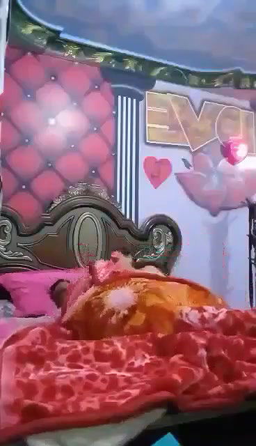 Myd pk video collection 15202589