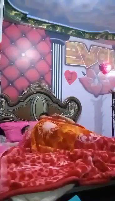 Myd pk video collection 15202589