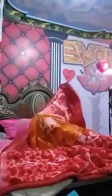 Myd pk video collection 15202589