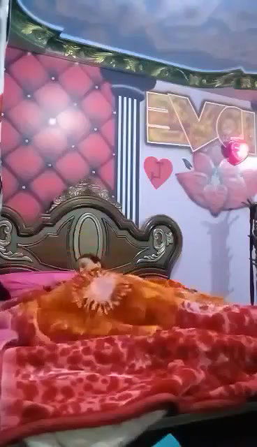 Myd pk video collection 15202589