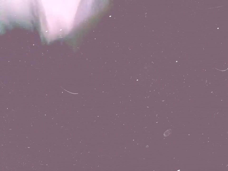 Bengali couple fucking clip