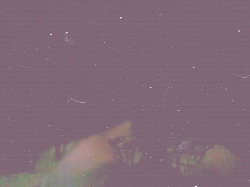 Bengali couple fucking clip