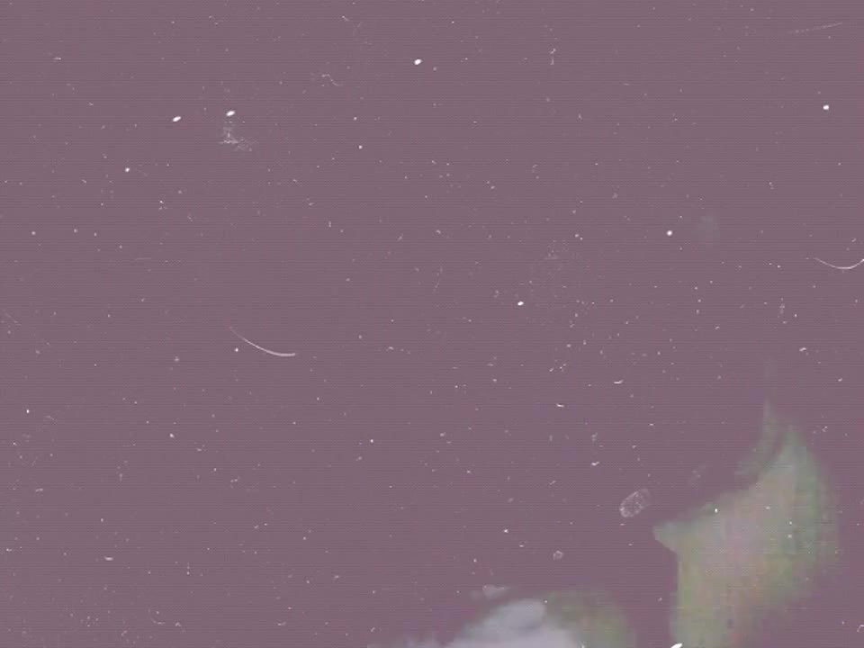 Bengali couple fucking clip