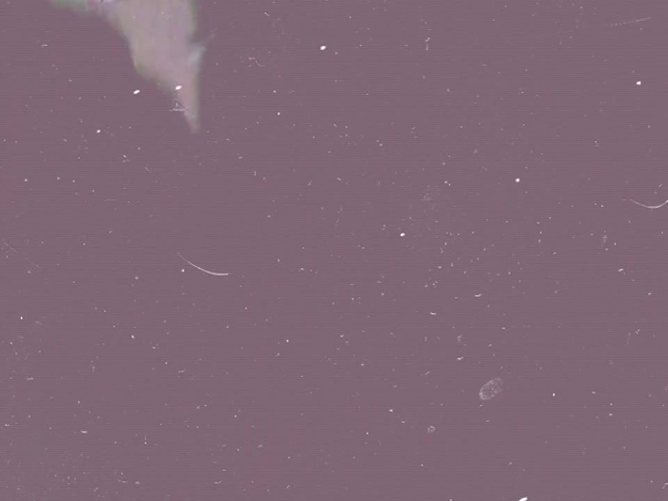 Bengali couple fucking clip