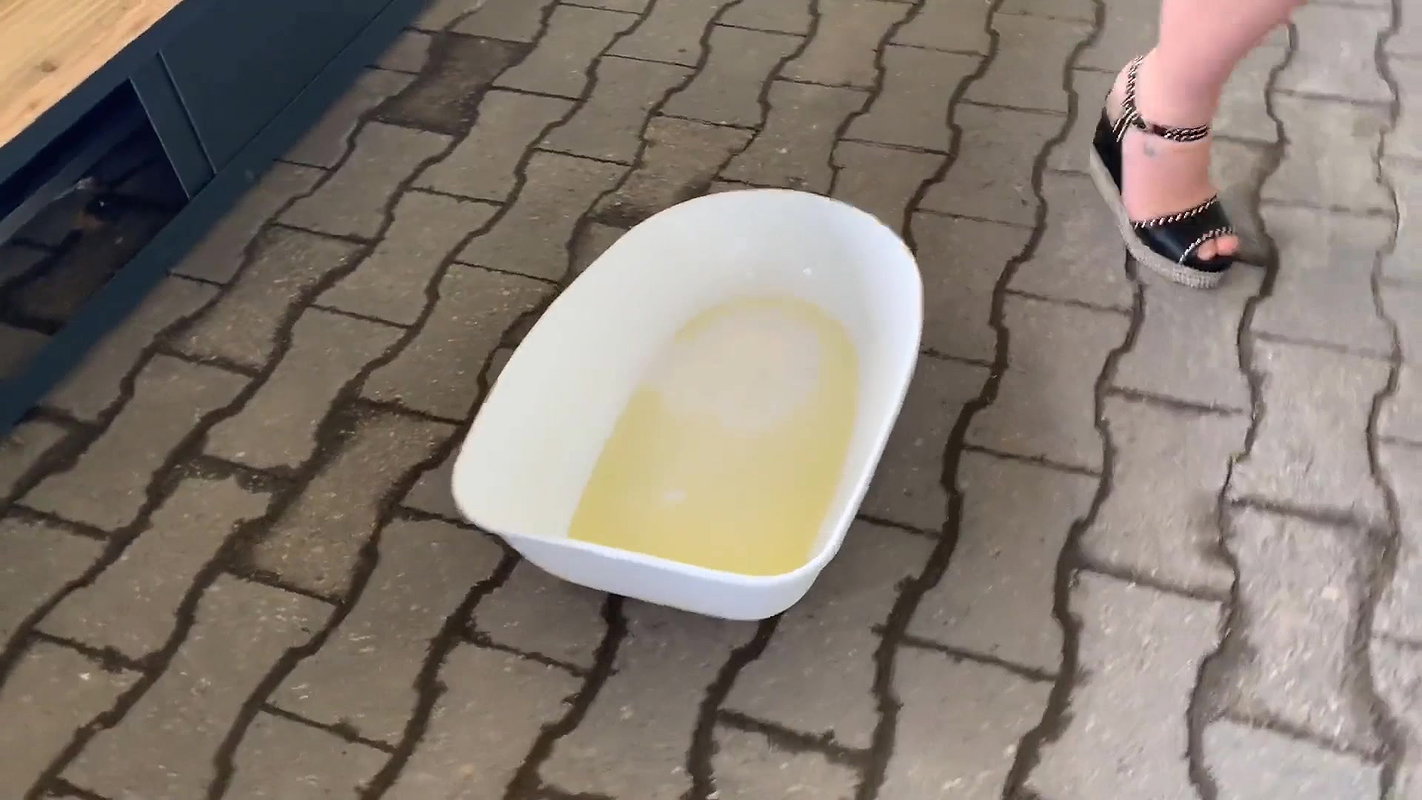 l pisses in a litter box in the pet shop