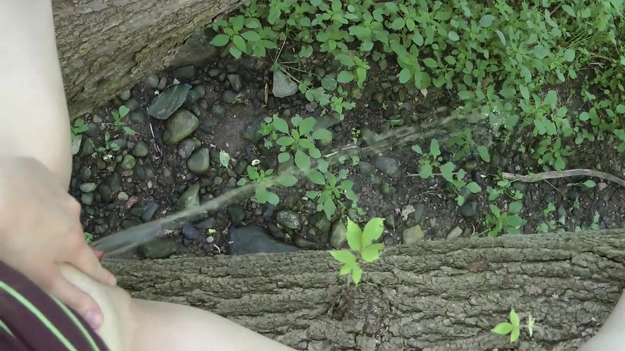 ing on Public Forest Compilation