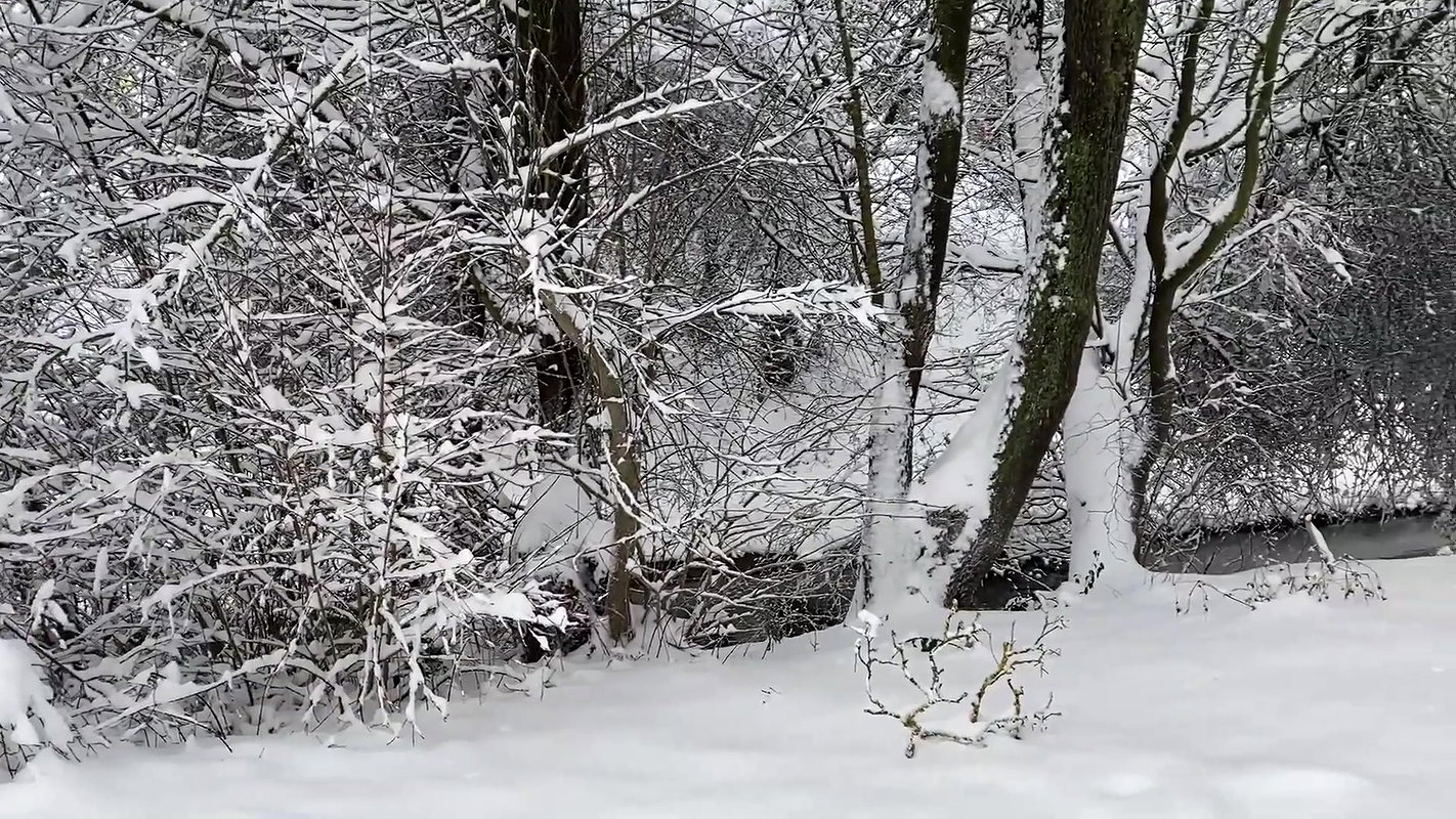 92Ann Aston Heisse Pinkelaktion Im Winter Wunderland