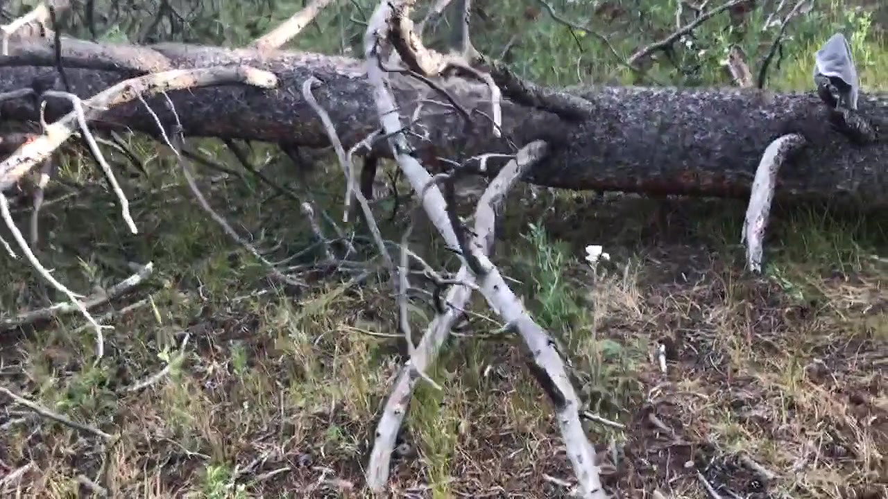 69Holly Marie Public mountain pee with Kaiia Eve